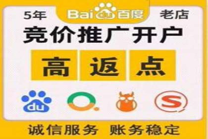 百度搜索优化：成功案例分析及策略解析